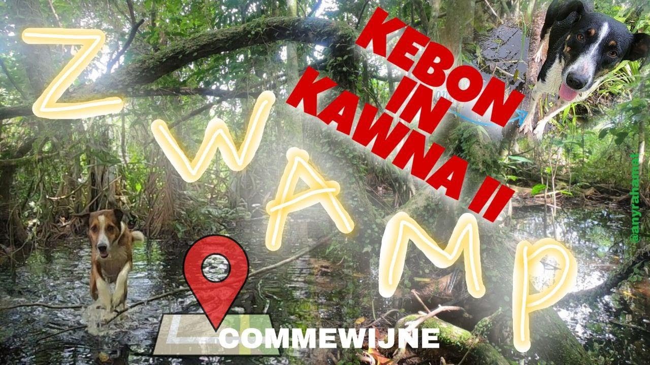 KEBON DEEL II | Zwampbos in Commewijne | anyrahamat