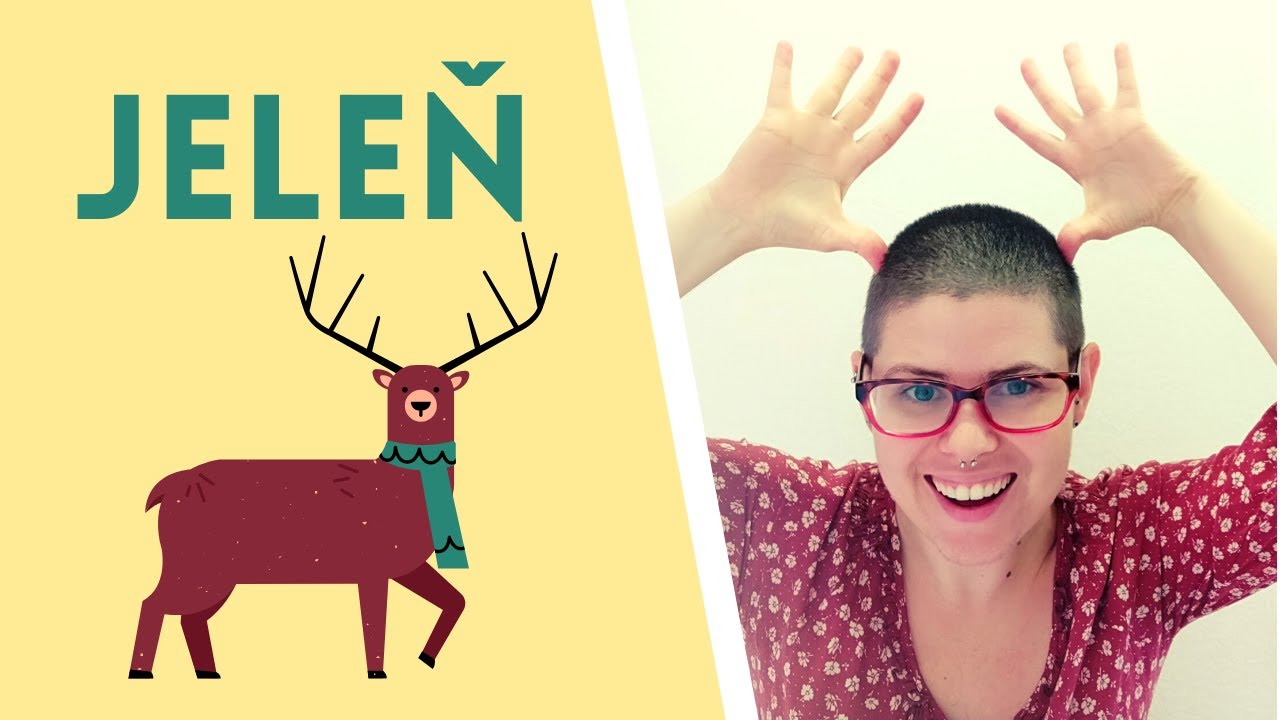 Learn Slovak with Stories: Jeleň