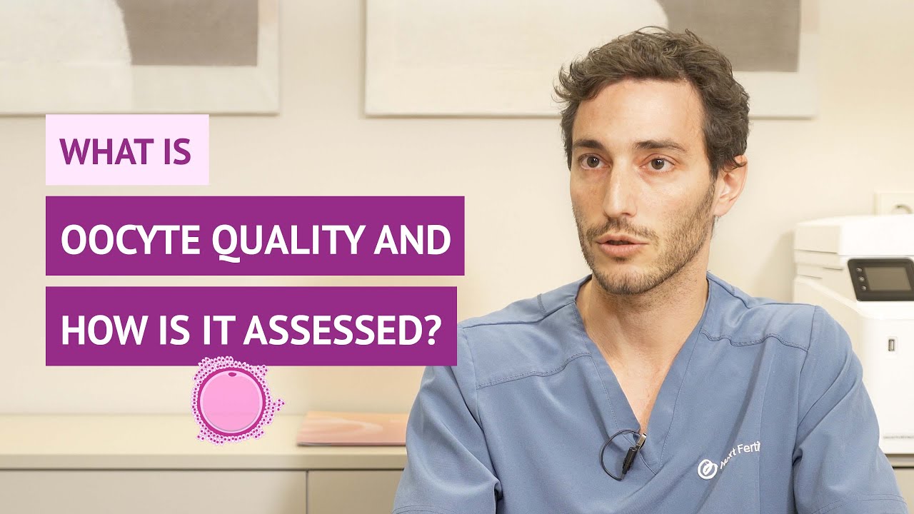 The quality of oocytes and its evaluation