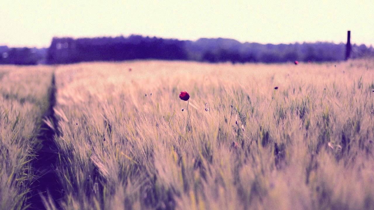 Hosta - Summer Days (Feat. Catherine Danica)