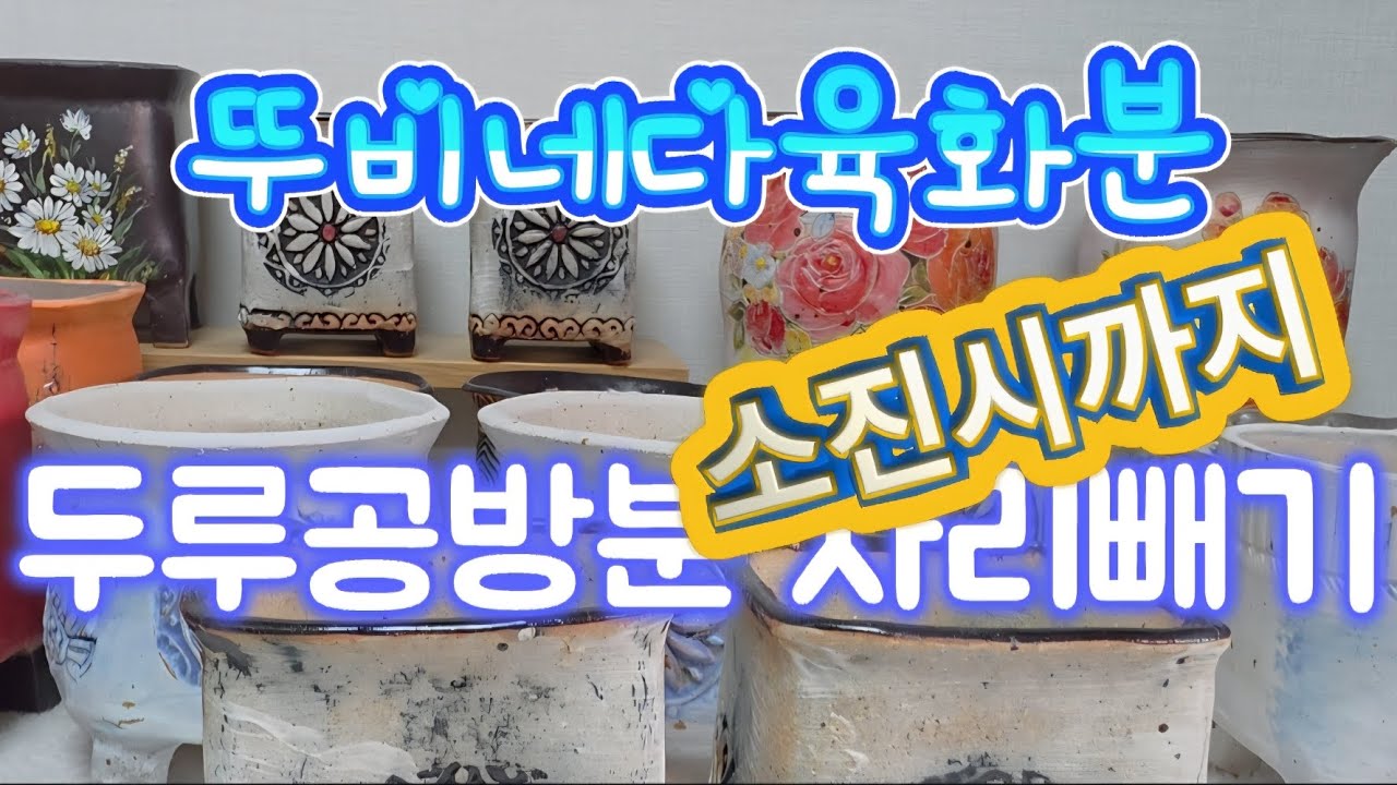 봄맞이자리빼기두루공방분#다육이#succulent#수제화분#폭탄세일#국화분#그림분#프릴분#뚜비네다육화분 