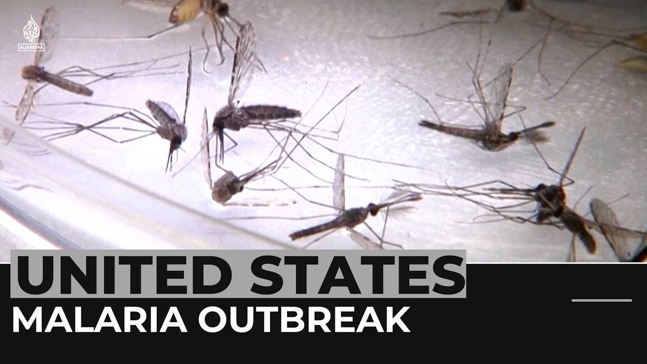 Malaria detected in the southern US for first time in 20 years