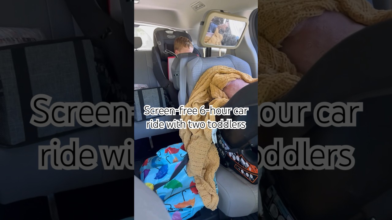 6 hours in the car with two toddlers and NO SCREENS?! 🤔 #screenfreeactivities #roadtrip #travelvlog