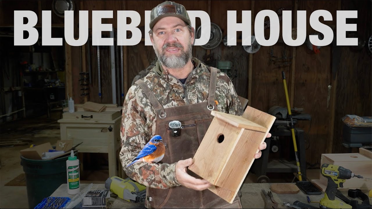 DIY Bluebird House from One Fence Picket (Simple, Proven Design)