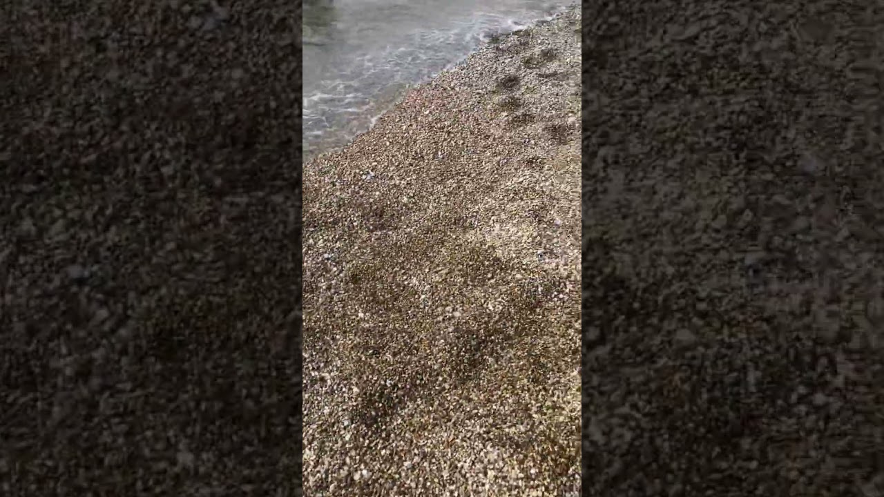 The world-famous Durdle Door Beach is located in England. #beach #beachlife #beachvibes #durdledoor
