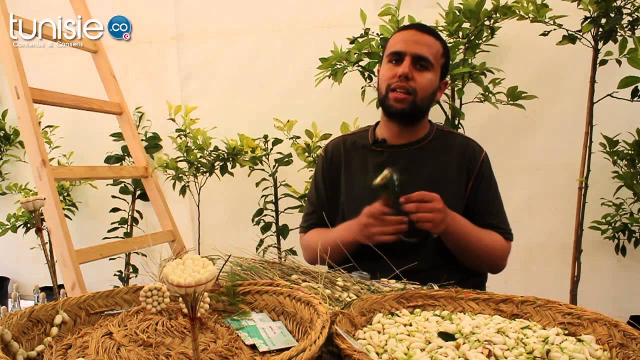 Tunisie. co : Confection de mechmoums Fell et Zhar à Nabeul