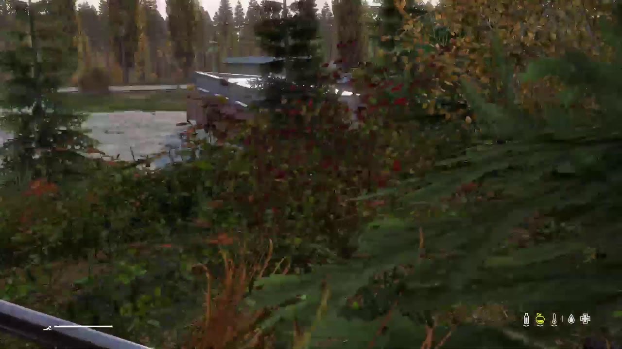 DayZ