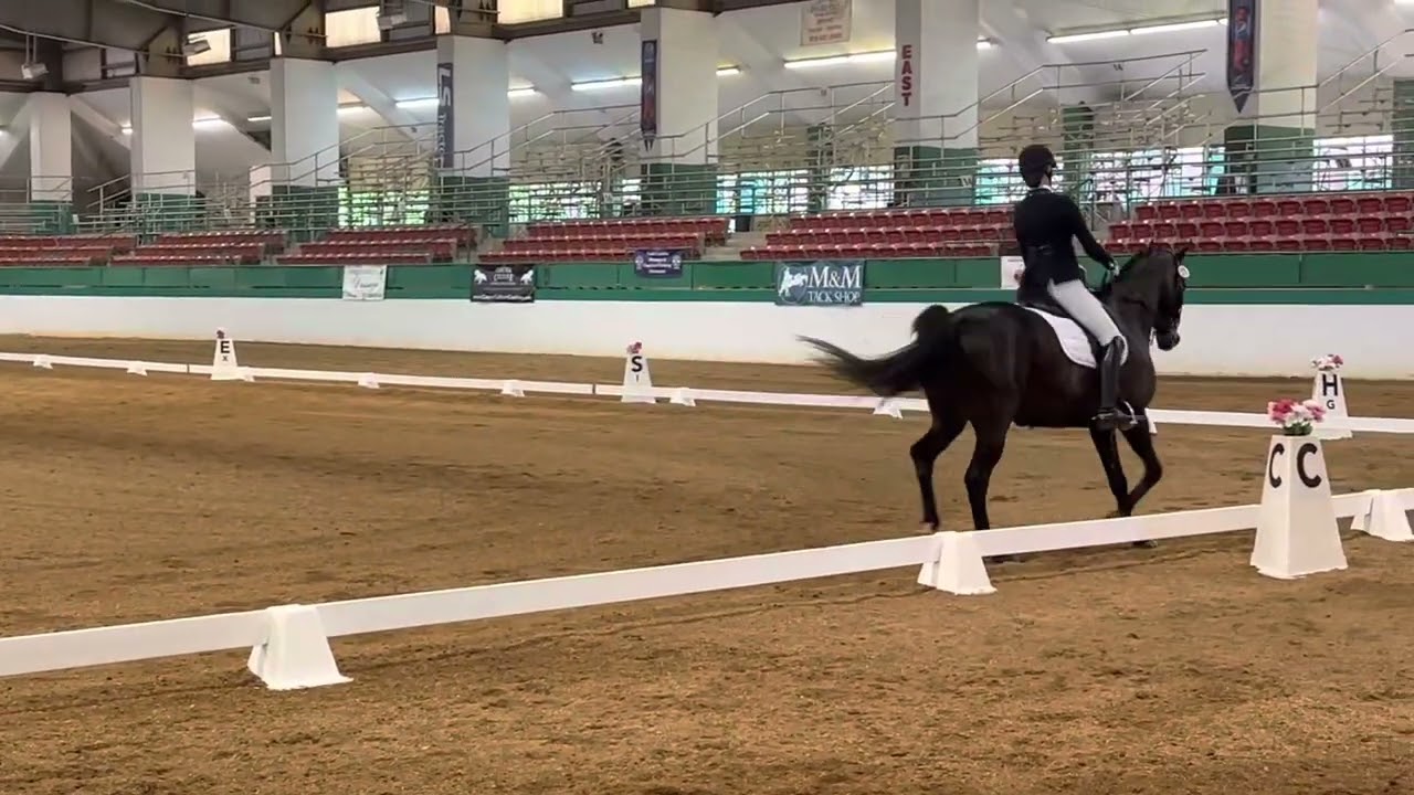 Deka Musical Freestyle - Third Level - 69.875% Capital Dressage Classic 6/4/23
