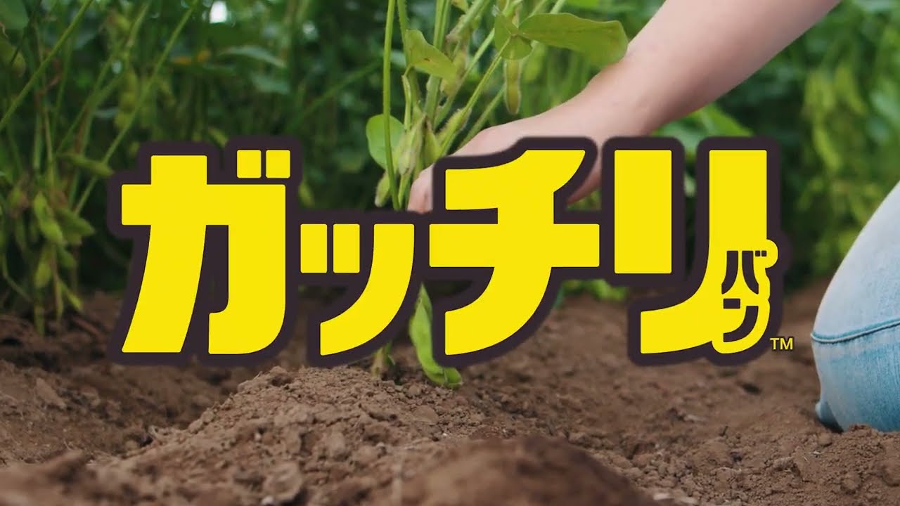 「ガッチリ応援！ガッチリバン」篇　15秒　ニチバン