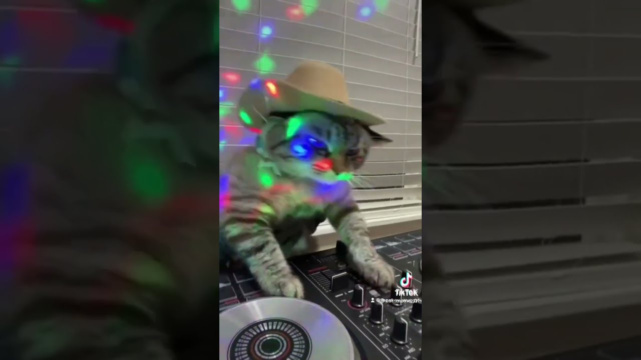 CAT CLUB REMIX PART 2