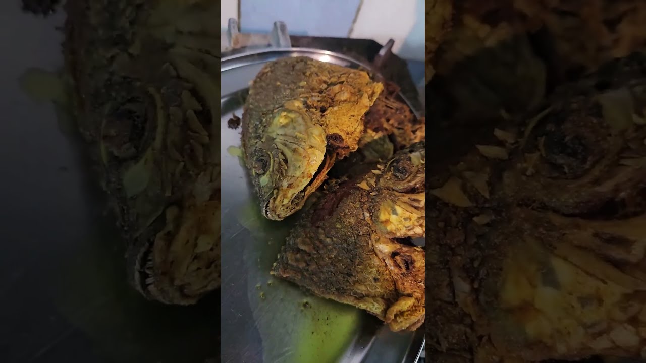 turkish khubz || delicious turkish khubz khubz recipe  turkish food || Live streaming