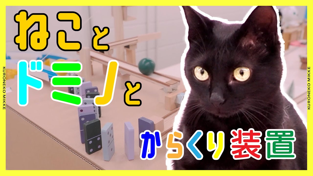 ねことドミノとからくり装置/宅急便が届く仕組み