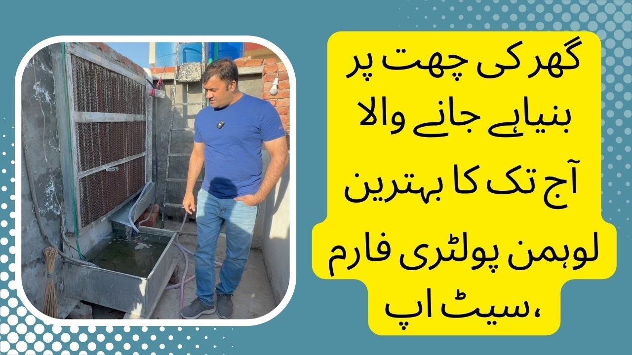 The Best Lohmann Poultry Farm Setup, I have seen so ever seen at Roof of home