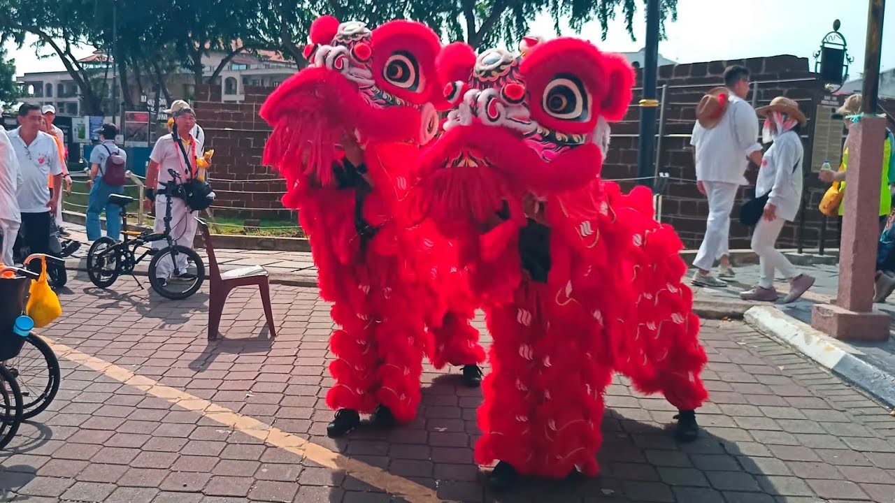 Lion Dance - Rhythm of warriors. 🦁🥁