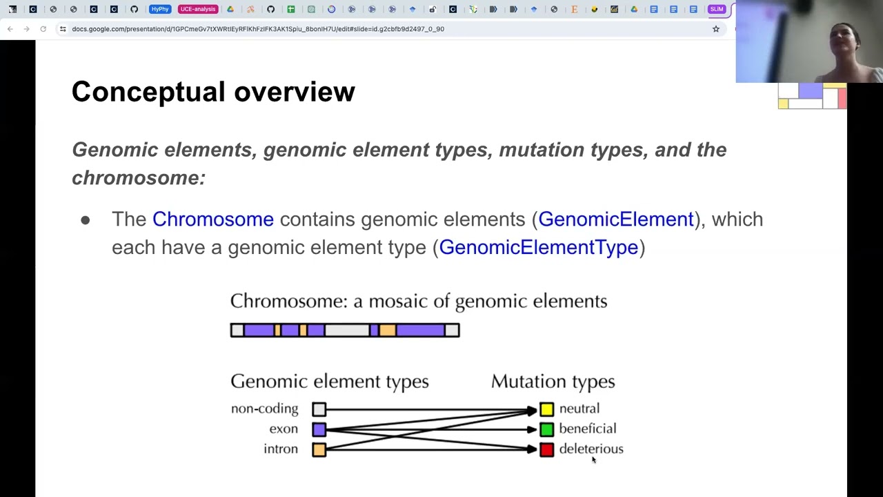 Using SLiM for forward genetic simulation