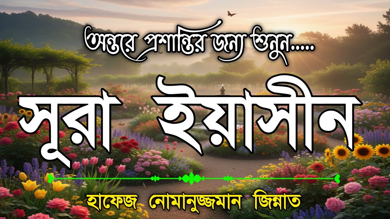 সূরা ইয়াসীন সম্পূর্ণ তিলাওয়াত শুনুন। Surah Yaseen best tilawat by Nomanuzzaman zinnat 