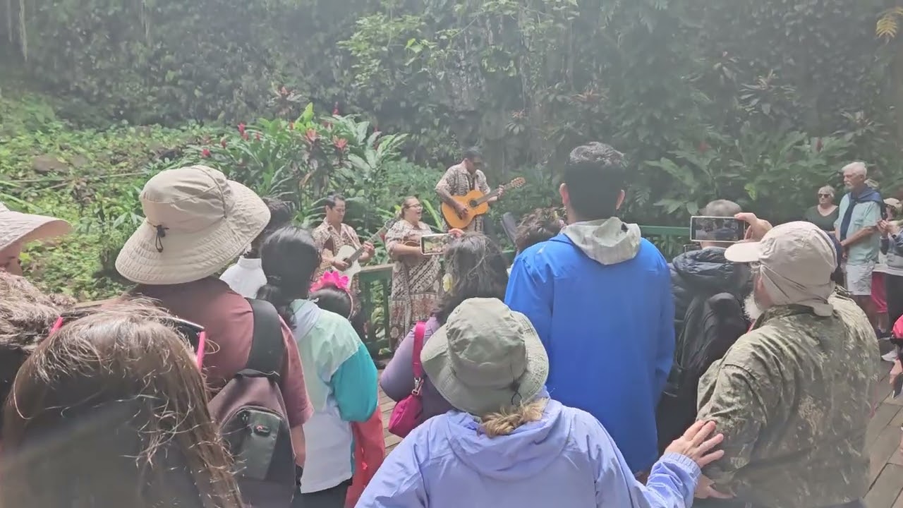 Hawaiian Love Song
