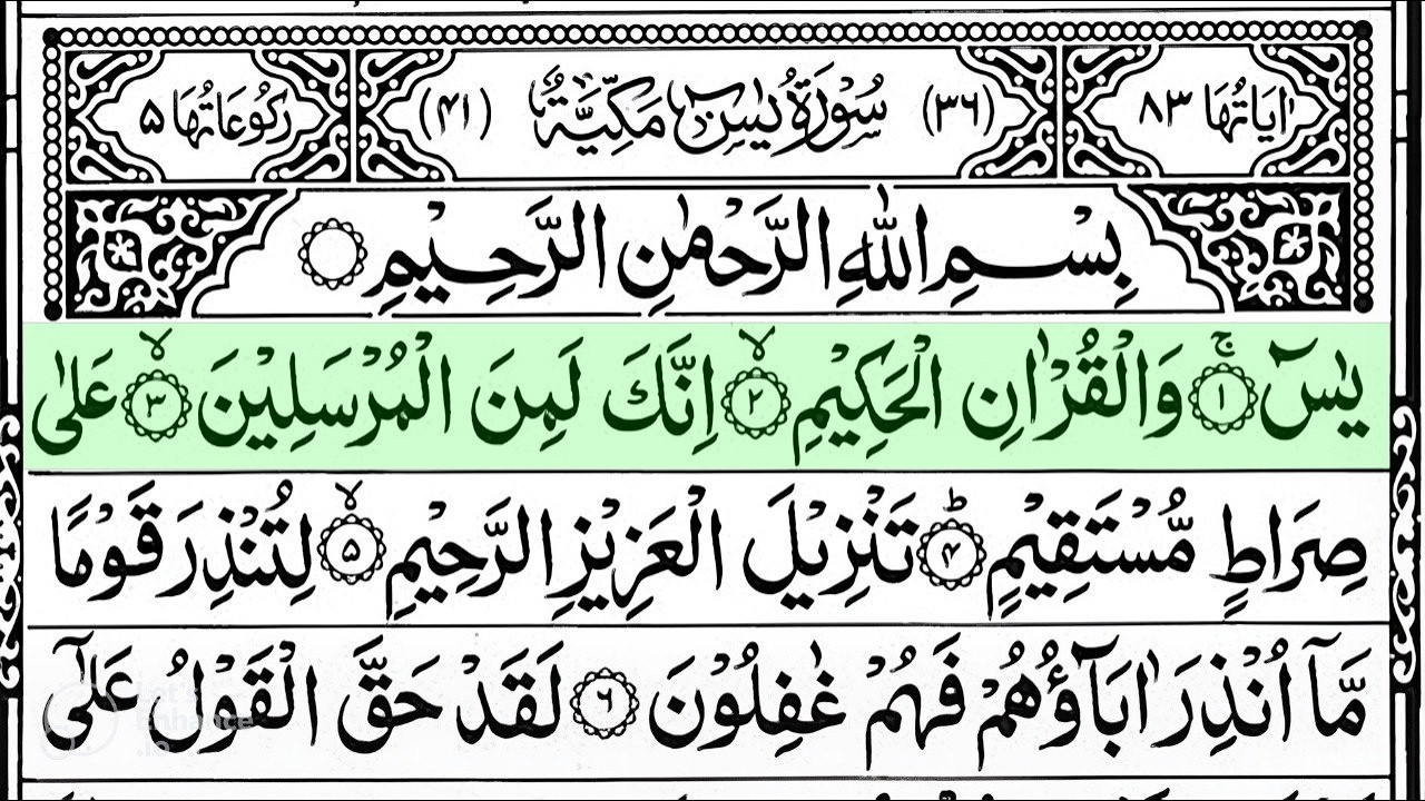Surah Yaseen Surah Ar Rahman | Best Quran Recitation | Surah Yasin Tilawat | Episode_023