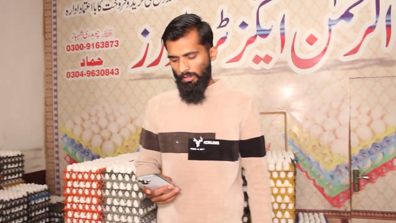 Egg Business in Pakistan | Daily Egg Rate Update | Complete Guide to Egg Wholesale Business