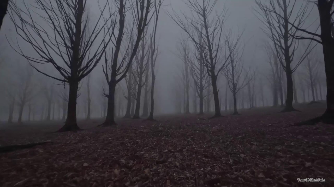 Piano Instrumental, Calm, melancholic sleep ASMR music -  Relax / Sad / #classicalmusic