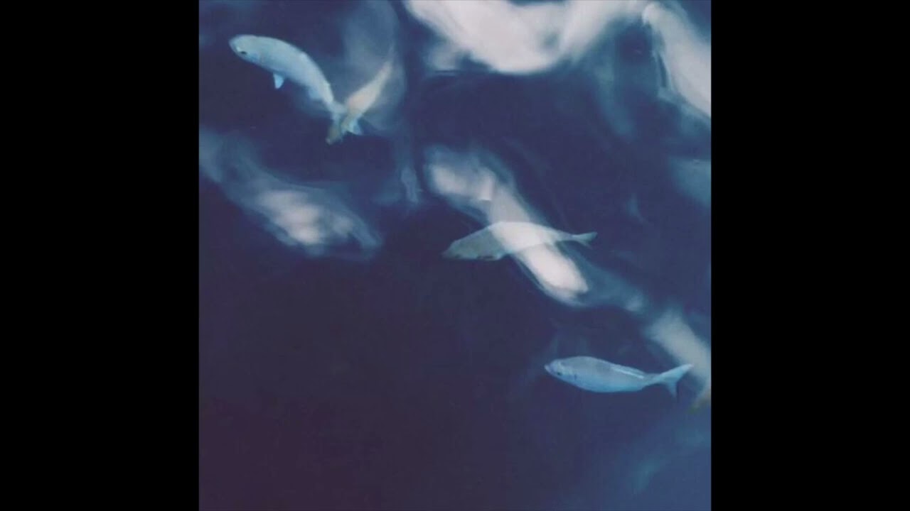 bon iver // james blake type beat - 