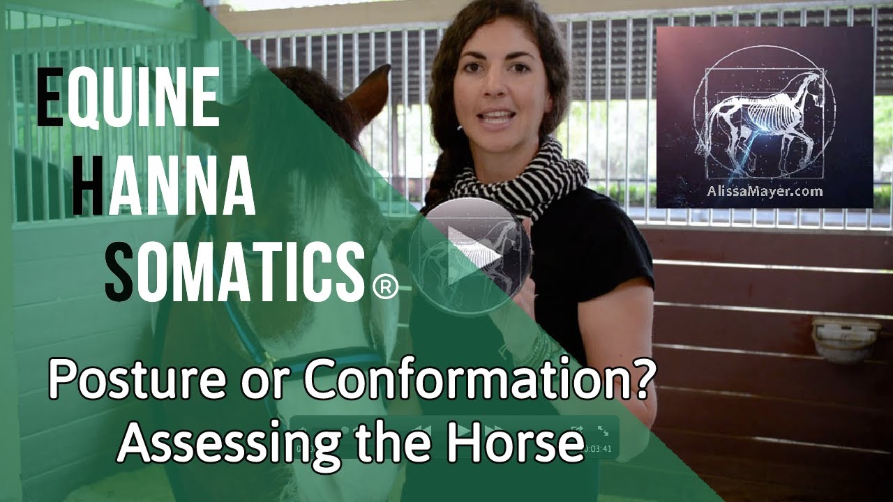 Equine Hanna Somatics® | Posture or Conformation? | with Alissa Mayer