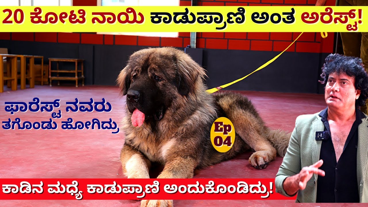 "20 ಕೋಟಿ ನಾಯಿ ಕಾಡು ಪ್ರಾಣಿ ಅಂತ ಫಾರೆಸ್ಟ್ ನವರು ತಗೊಂಡು ಹೋಗಿದ್ರು!-E04-Satish Cadaboms-Kalamadhyama-