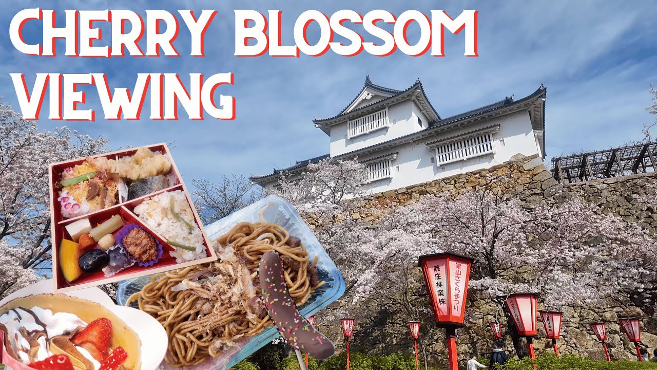 Cherry blossom viewing party  ｜The Tsuyama Castle Grounds(Kakuzan Park) | Hanami