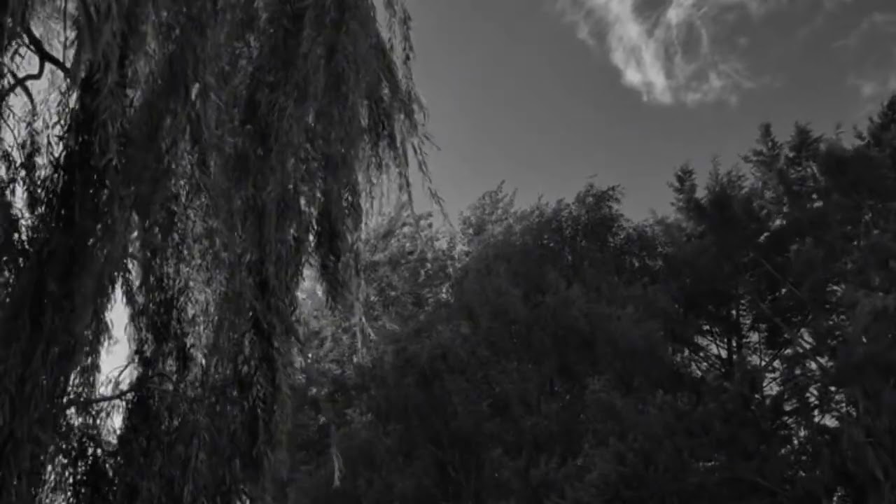 In the Sky - By Rahat Chowdhury  #song #original #heart 