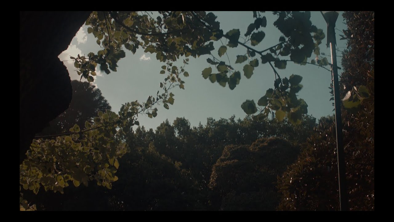 Canon EOS M Film | ARRI WONDER | Magic Lantern RAW Video 14-Bit | Zeiss Jena 50mm f2.8 + C Mount