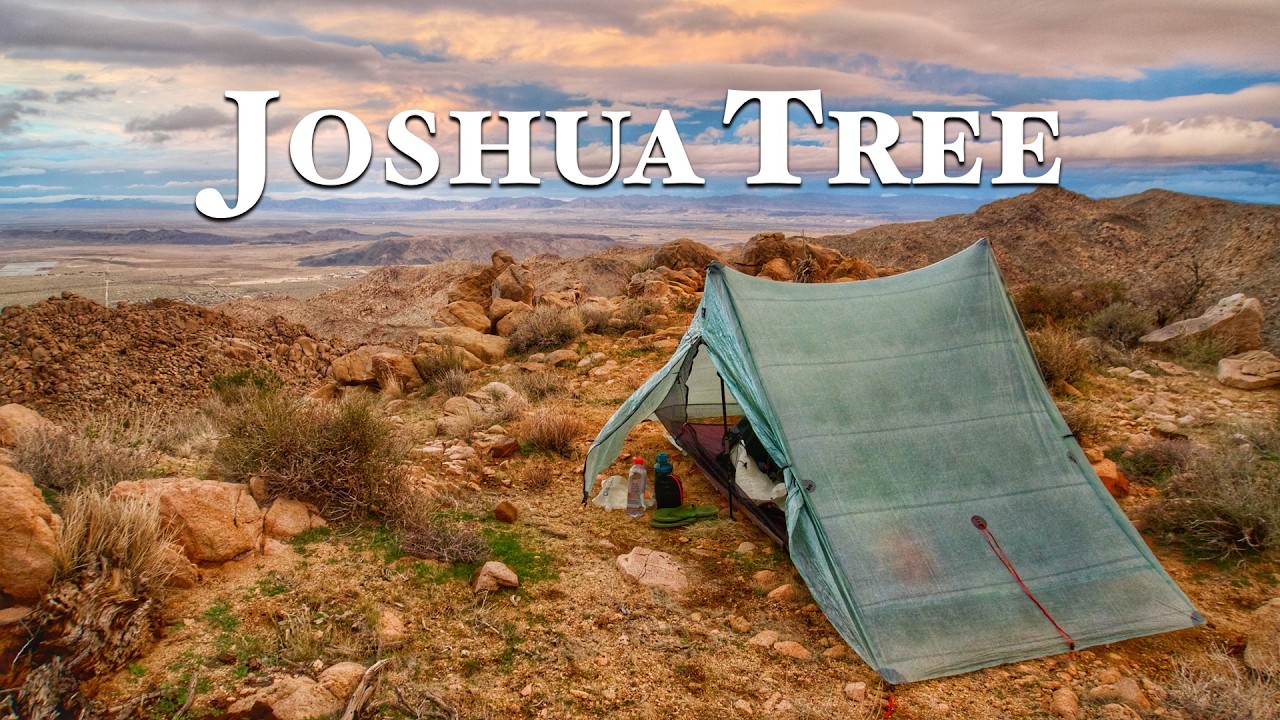 Я нашла идеальное место для кемпинга в пустыне... А потом подул ветер | Национальный парк Джошуа-Три