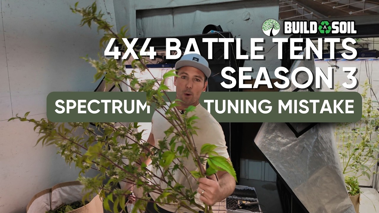 BuildASoil: 4X4 Battle Tents, 3 сезон // Ошибка настройки Spectrum