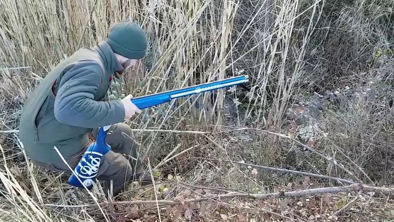 Chasse à la grive " Team Bra'c "