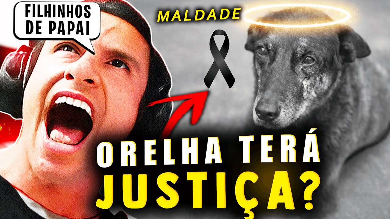 SUPER XANDÃO REAGINDO - CASO do CACHORRO ORELHA: HAVERÁ JUSTIÇA?