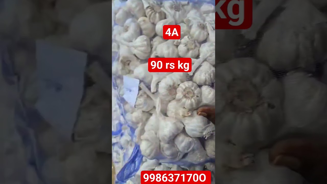:4A Garlic Price ₹90/kg Today | Ramaka Garlic Market Update
