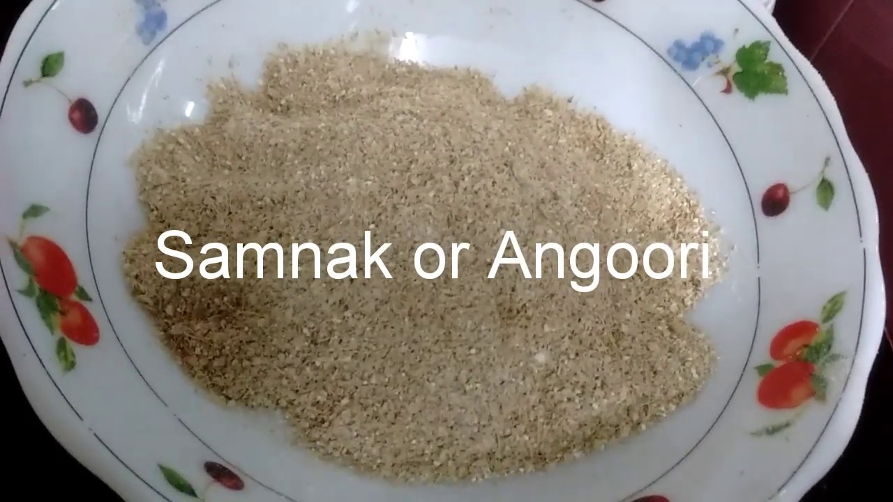 Angoori or Samnak for Sohan Halwa //wheat Sprouts at home//episode 1