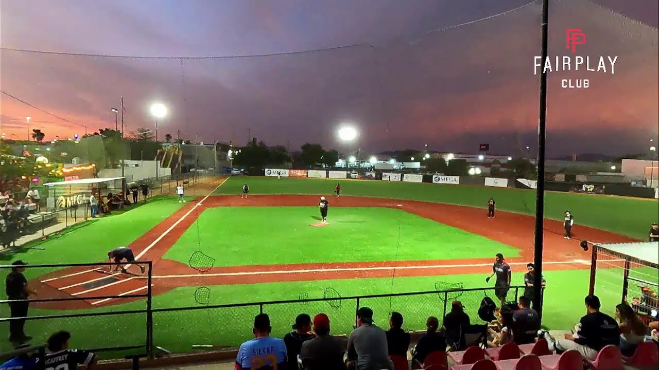 TIGRES VS FELINOS