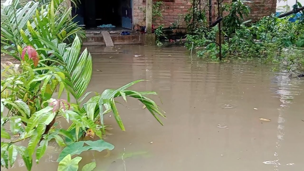 দেখুন 2025 এ সেরা বৃষ্টির মুহূর্ত🙏🏻#viral#youtube#video#