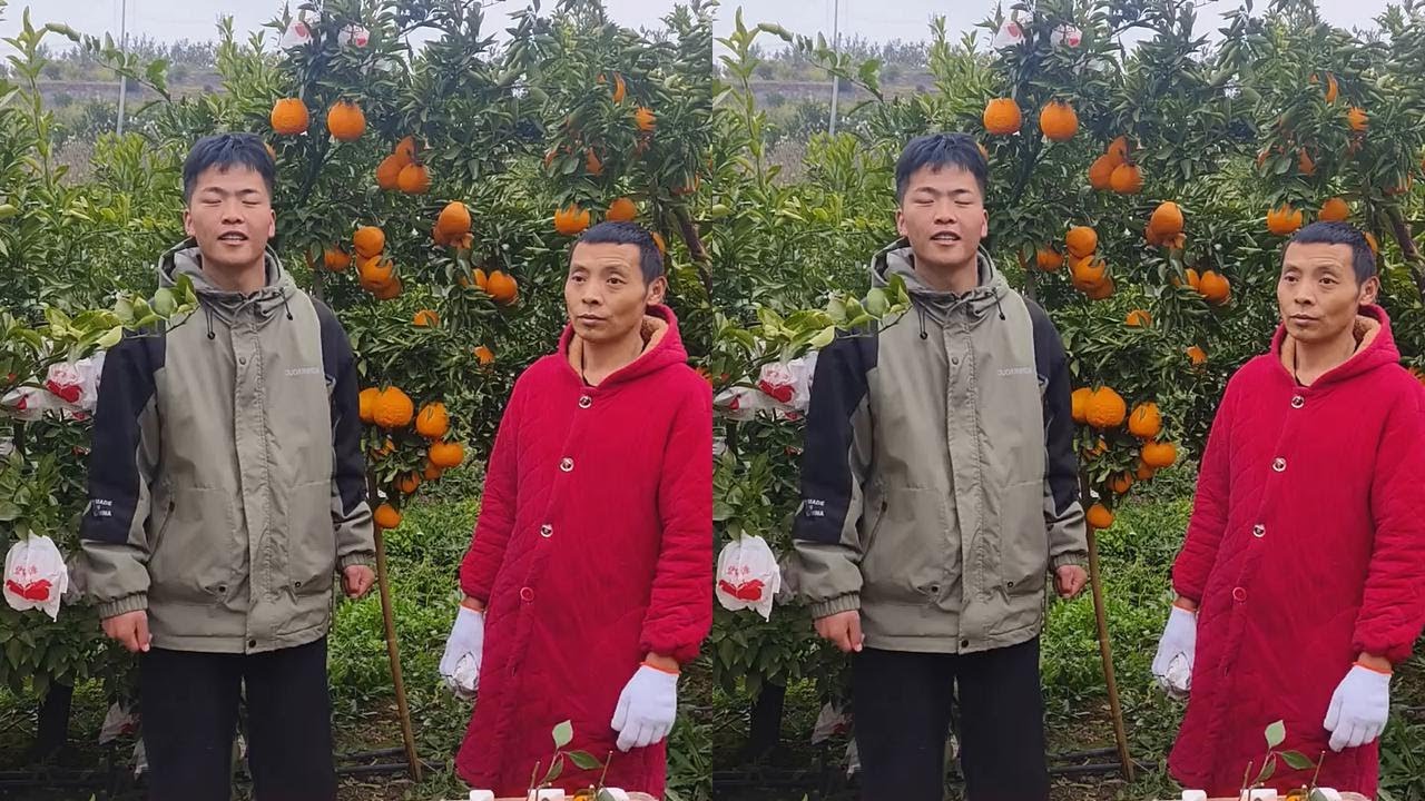 欢迎大家