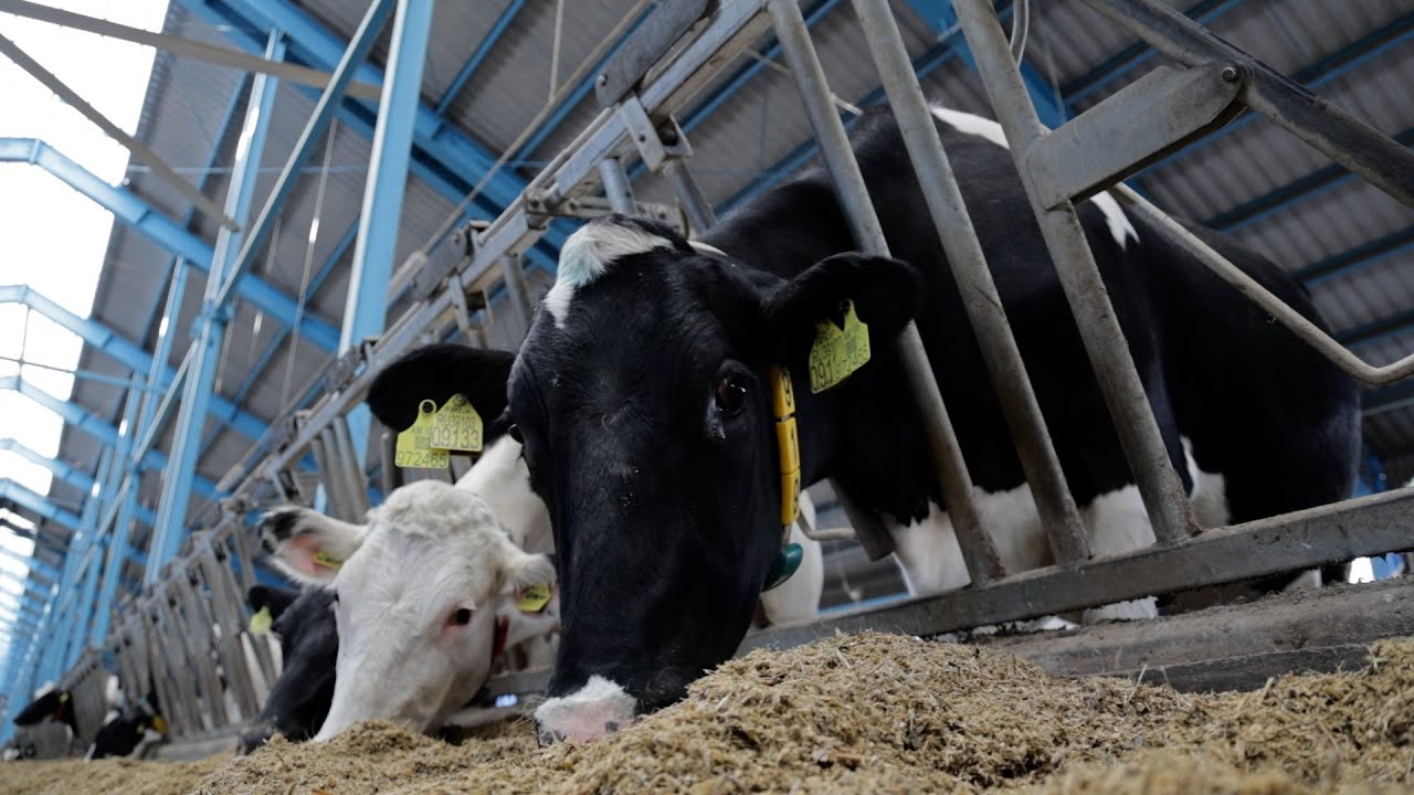 Տարածաշրջանում եզակի և ՀՀ-ում ամենամեծ ֆերմայի ժամանակակից լուծումները՝ «Սերմից՝ սեղան» հայեցակարգով