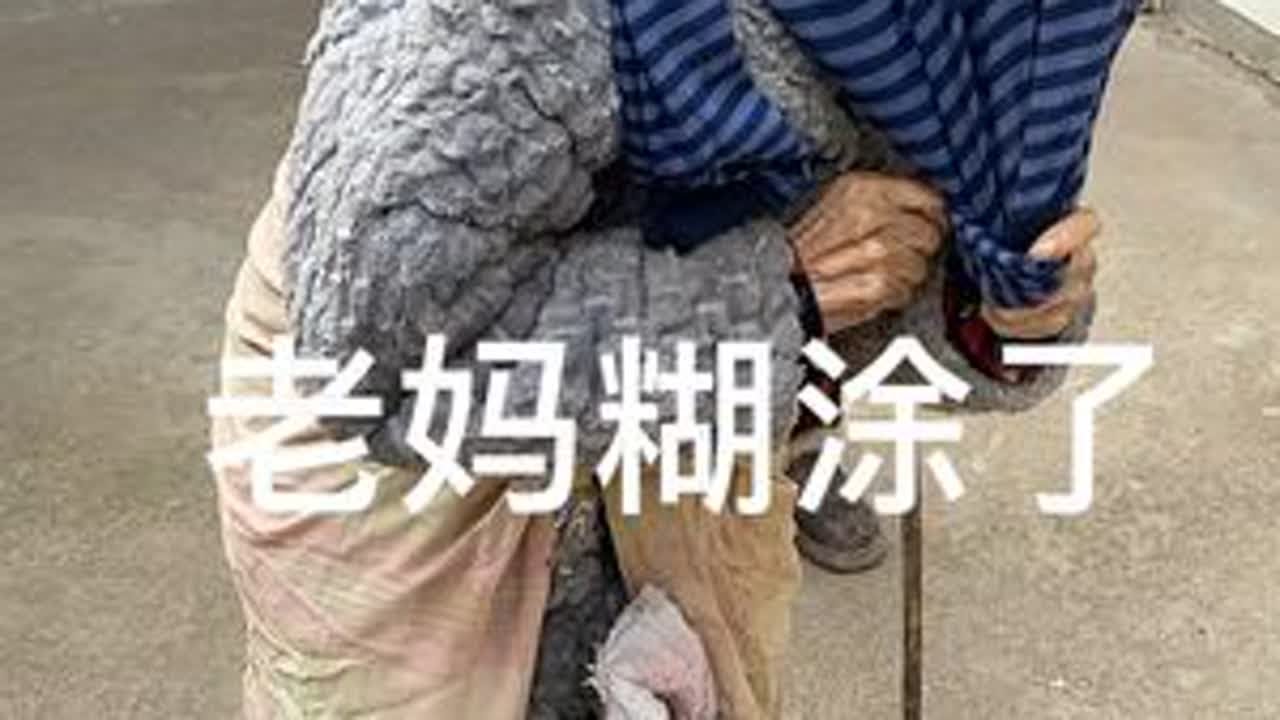 老妈又糊涂了，我去买红薯了，她又跑出去捡东西了 #记录真实生活 #农村生活