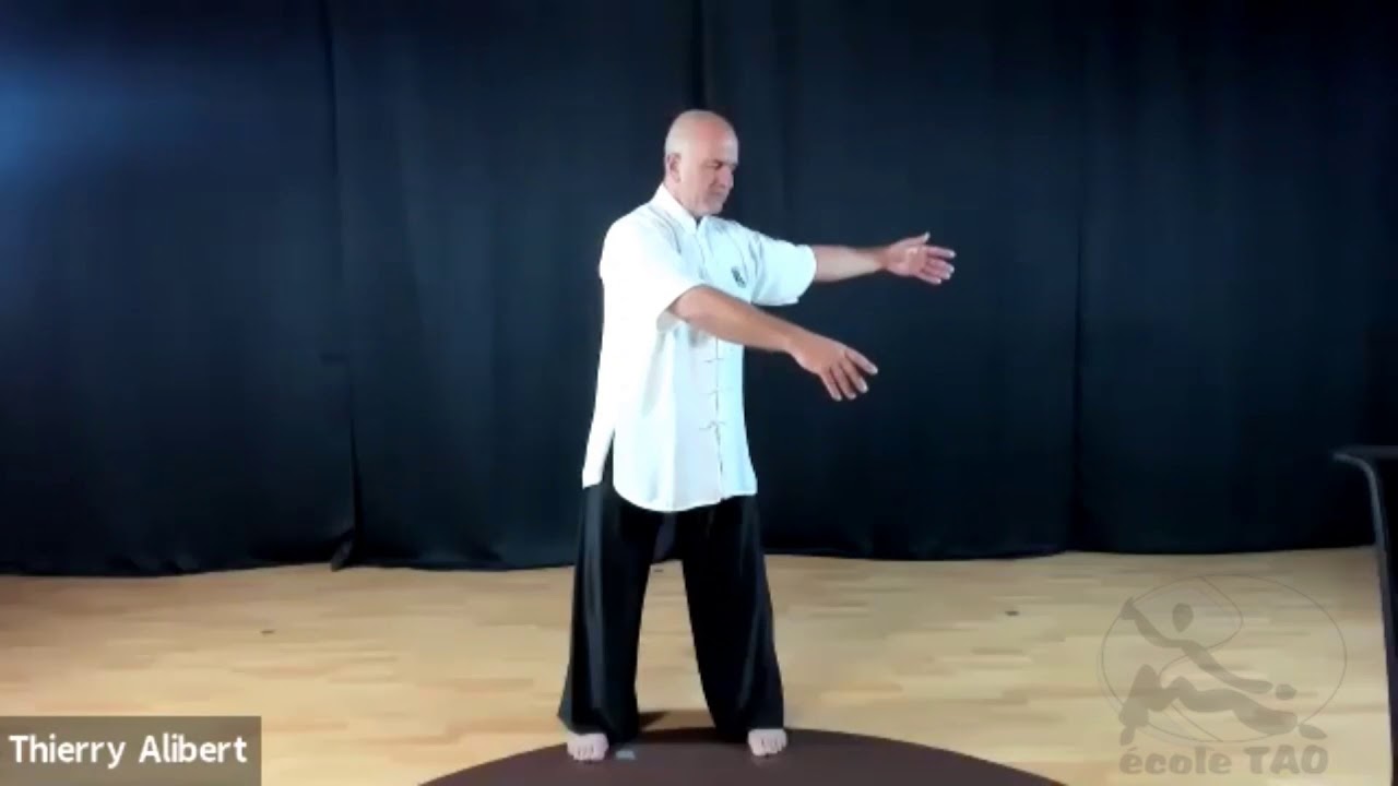 Qi gong pour nourrir la vie - Yang Shen Ba Shi - 7ème mouvement par Thierry Alibert 7ème Duan FFK