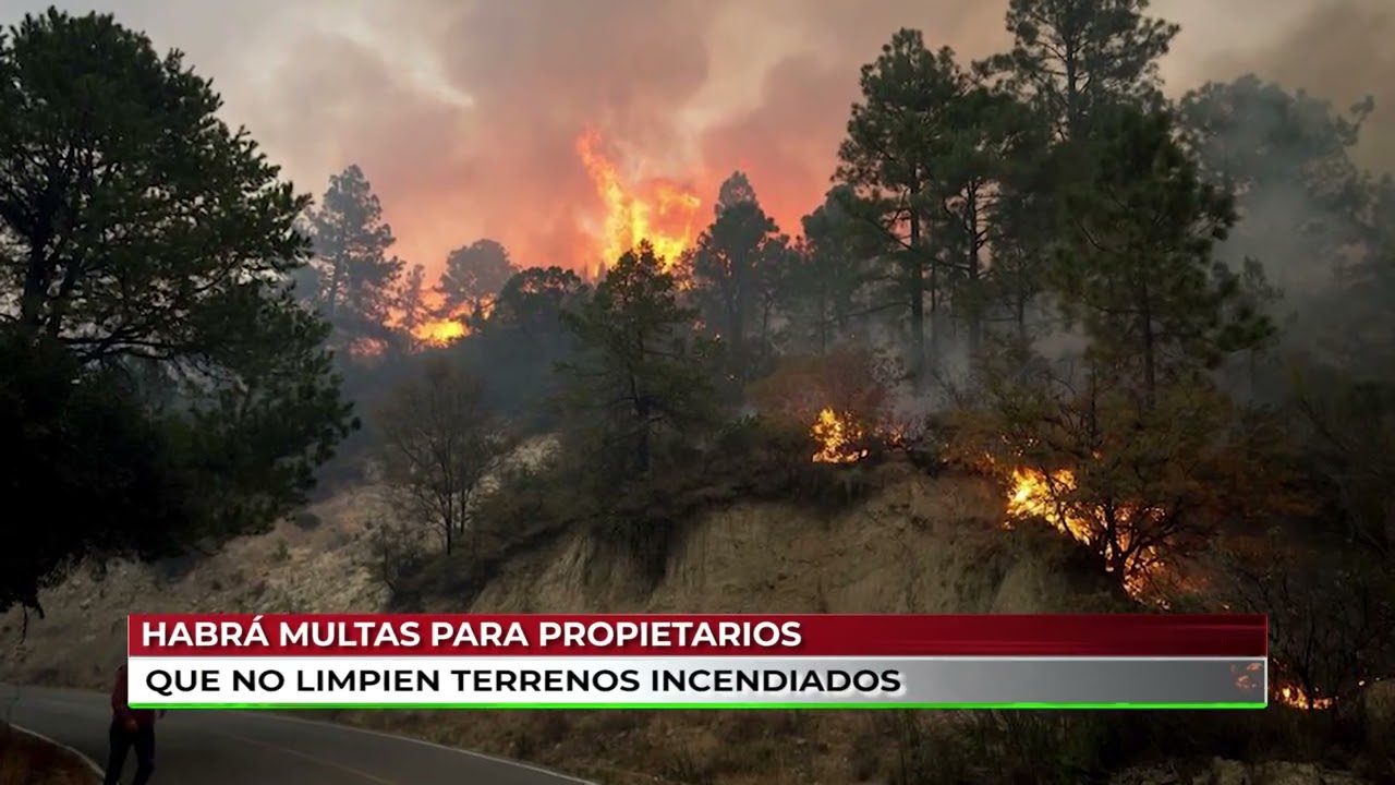 Habrá multas para propietarios que no limpien terrenos incendiados.