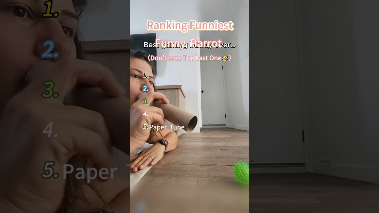 Ranking Funniest Funny  Parrot#youtube #funny