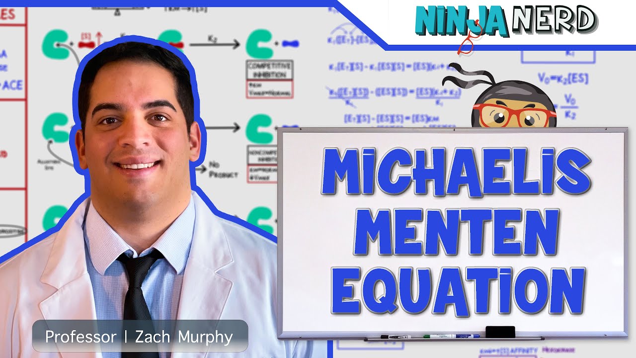 Biochemistry | Michaelis-Menten Equation