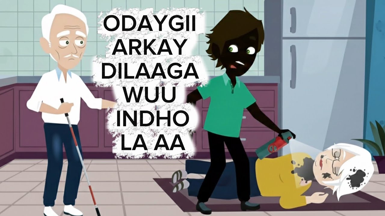 DILAAGU WUXUU NOQDAY QOF AAN LAGA FILANAYN!|SHEEKO @SomaliKartoonofficial 