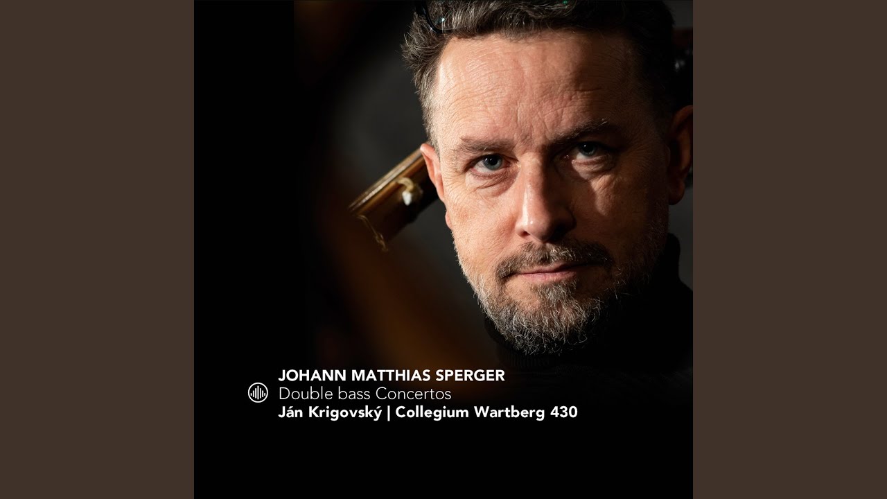 Double Bass Concerto No. 2 in D Major: I. Allegro moderato