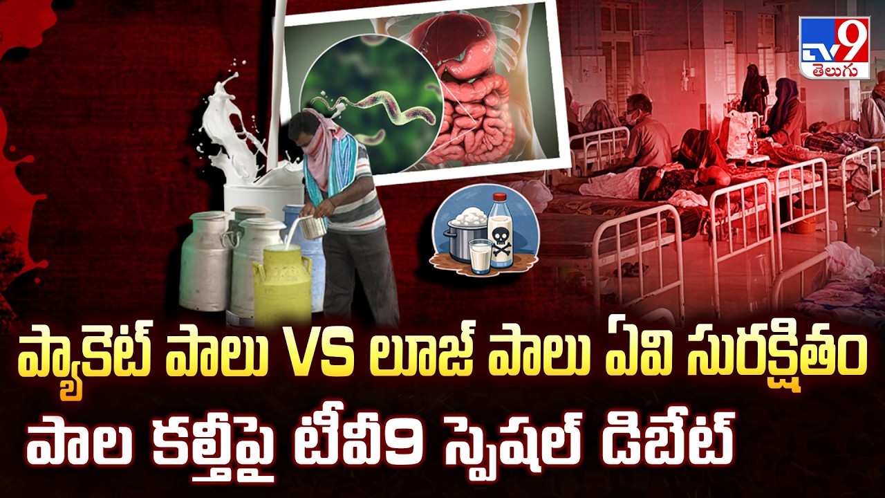 Packet Milk vs Loose Milk: Which is Safer? TV9 Special Debate on Milk Adulteration - TV9