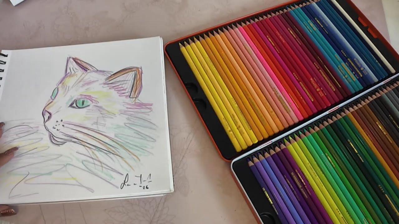 Woomer colored pencils Review