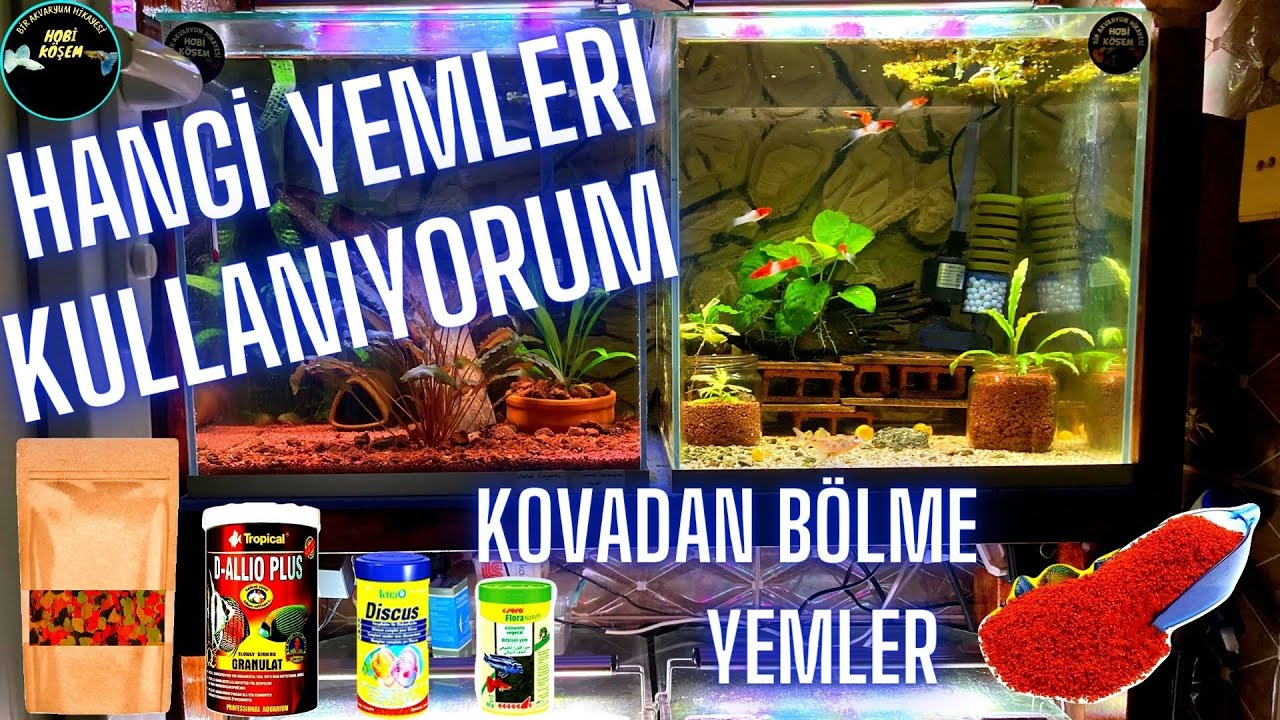 TÜM BALIKLARIM İÇİN YENİ YEMLER GELDİ HANGİ MARKA YEMLERİ KULLANIYORUM-Akvaryum balıkları